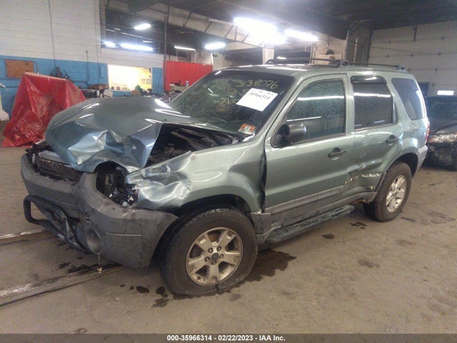 2007 FORD ESCAPE XLT VIN: 1FMYU03167KA62475