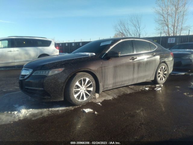 19UUB1F59GA001352 Acura TLX TECH