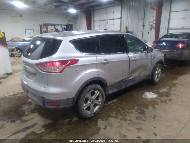 Ford ESCAPE SE 2016 1FMCU9G92GUA14622 Image 4