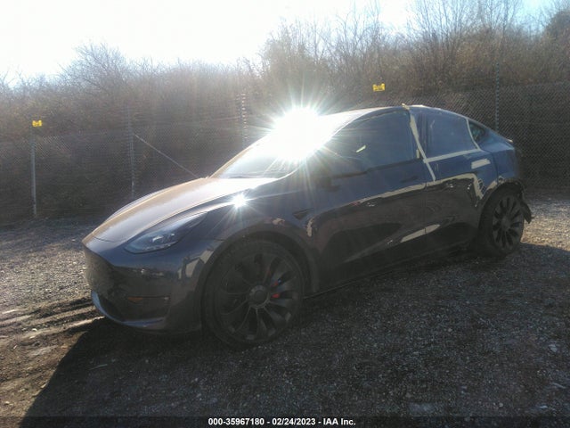 2022 Tesla Model Y, VIN: 7SAYGDEF9NF513259