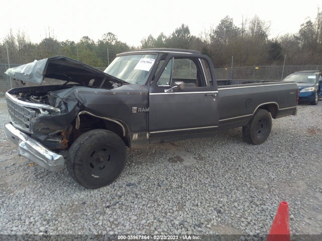 1984 DODGE D-SERIES D150 VIN: 1B7GD14T6ES279169