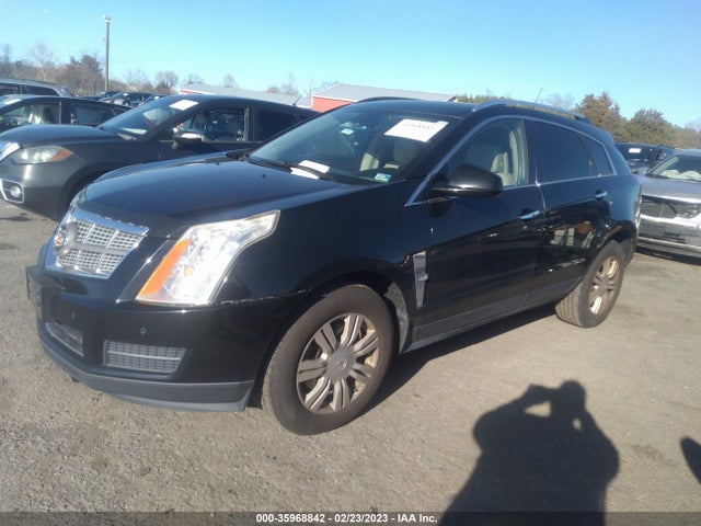 2010 CADILLAC SRX LUXURY COLLECTION VIN: 3GYFNAEYXAS594116