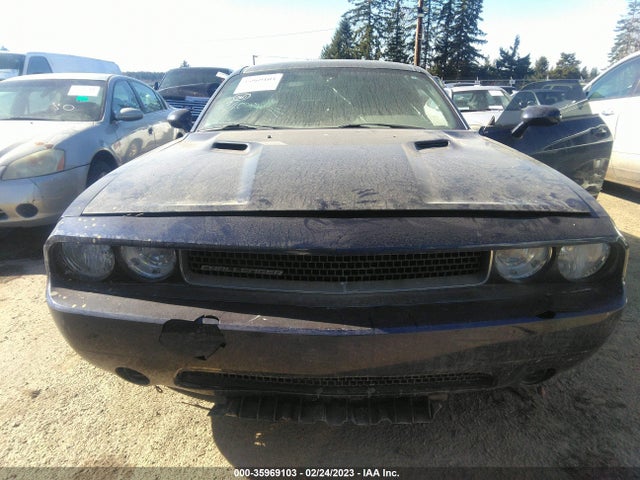 Dodge Challenger Sxt 2013 2C3CDYAG1DH569666 Image 7