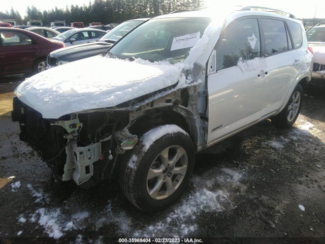 2010 TOYOTA RAV4 LTD VIN: 2T3DF4DV7AW044068