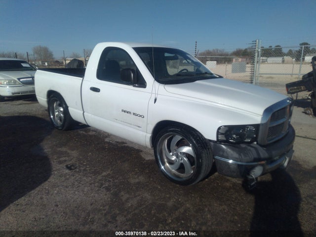 Dodge RAM 1500 2002 1D7HA16K42J187325 головне зображення