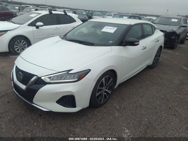 2021 Nissan Maxima, VIN: 1N4AA6CV7MC505846
