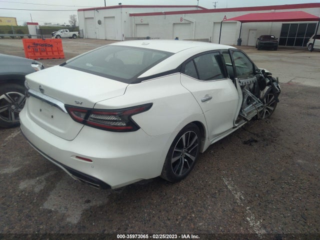 2021 Nissan Maxima, VIN: 1N4AA6CV7MC505846