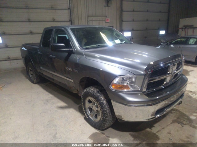 Dodge Ram 1500 St 2009 1D3HV18T19S793780 zdjęcie główne