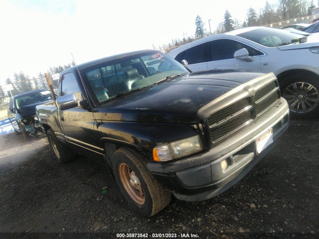 Dodge RAM 1500 1996 1B7HC16Z9TS533883 главное изображение