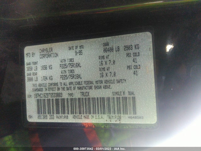 Dodge RAM 1500 1996 1B7HC16Z9TS533883 Image 10