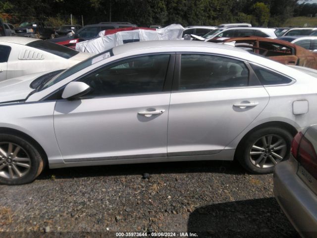 5NPE24AF4HH566171 Hyundai SONATA SE