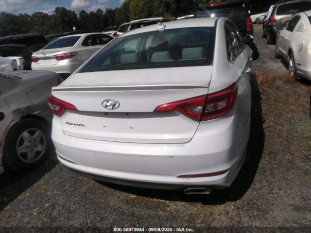 5NPE24AF4HH566171 Hyundai SONATA SE