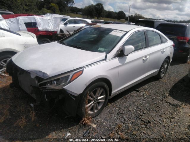 5NPE24AF4HH566171 Hyundai SONATA SE