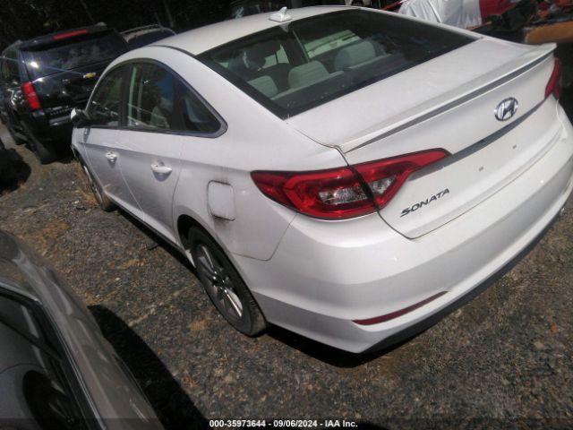 5NPE24AF4HH566171 Hyundai SONATA SE