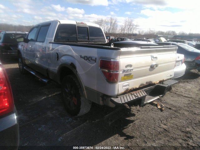 2010 FORD F-150 XL/XLT/FX4/LARIAT VIN: 1FTFW1EV5AFB83784