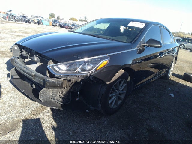 Hyundai SONATA SE 2019 5NPE24AF9KH738816 Image 2