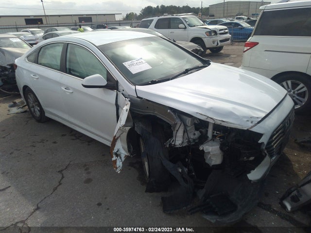 2019 5NPE24AF0KH743547 main image