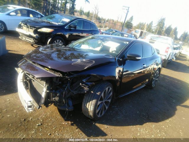 1N4AA6AP6GC420988 Nissan MAXIMA 3.5