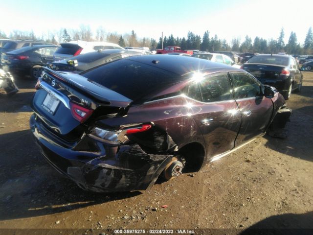 1N4AA6AP6GC420988 Nissan MAXIMA 3.5