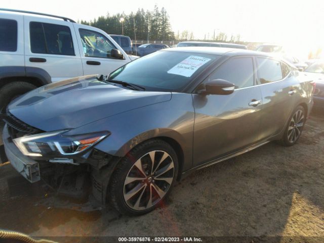 1N4AA6AP5GC419184 Nissan Maxima 3.5 Sr