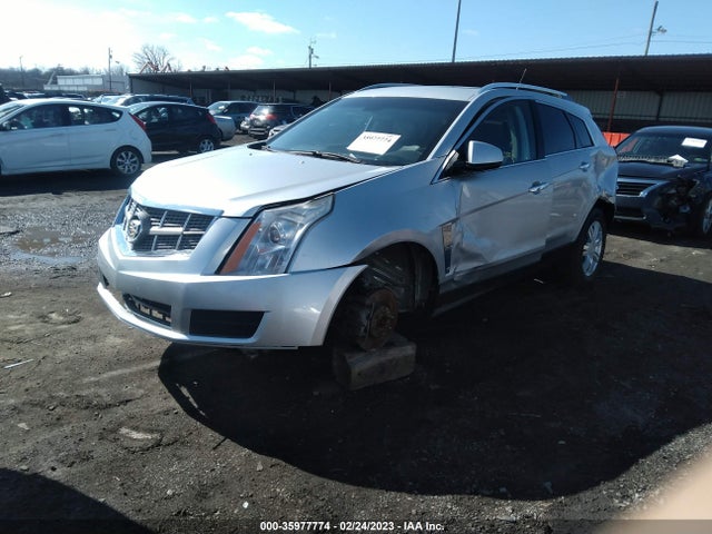 2011 CADILLAC SRX LUXURY COLLECTION VIN: 3GYFNDEY9BS572336