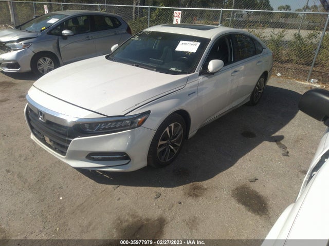 2019 Honda Accord, VIN: 1HGCV3F55KA021038