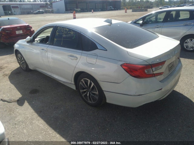 2019 Honda Accord, VIN: 1HGCV3F55KA021038