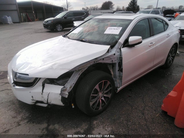 19UUB1F5XFA009989 Acura TLX TECH