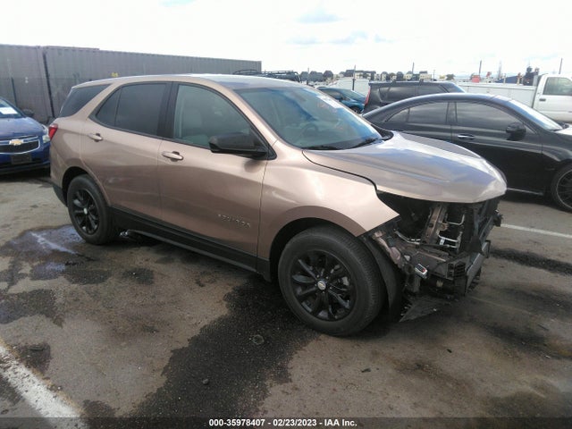 Chevrolet EQUINOX LS 2019 2GNAXHEV5K6173548 Image 1