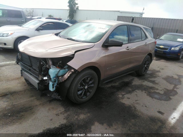 Chevrolet EQUINOX LS 2019 2GNAXHEV5K6173548 Image 2