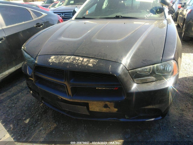 Dodge Charger Police 2014 2C3CDXAT9EH366890 Image 12