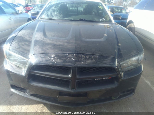 Dodge Charger Police 2014 2C3CDXAT9EH366890 Image 6