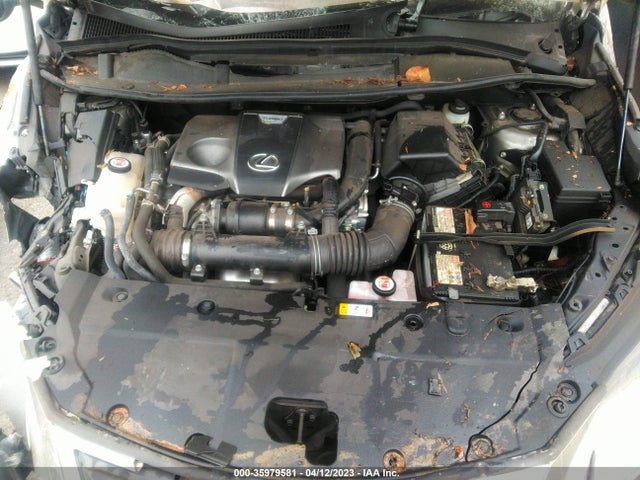 JTJDARBZ7M2185735 Lexus NX