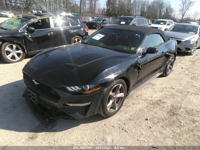 2019 FORD MUSTANG ECOBOOST VIN: 1FATP8UH0K5104779