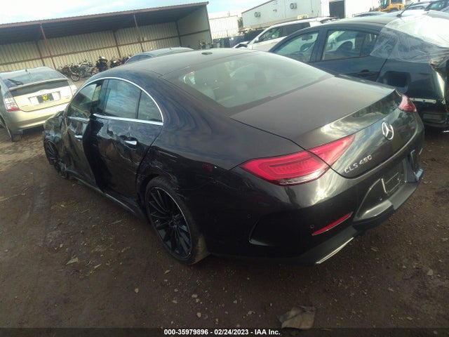 2019 Mercedes-Benz CLS-Class, VIN: WDD2J5JB6KA006293