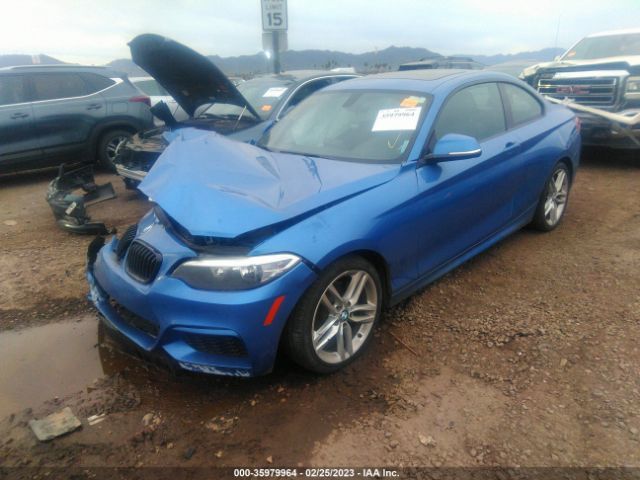 WBA1F5C56FV256689 BMW 2 Series 228i