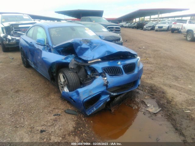 WBA1F5C56FV256689 BMW 2 Series 228i