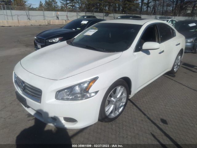 1N4AA5AP7EC488272 Nissan MAXIMA 3.5
