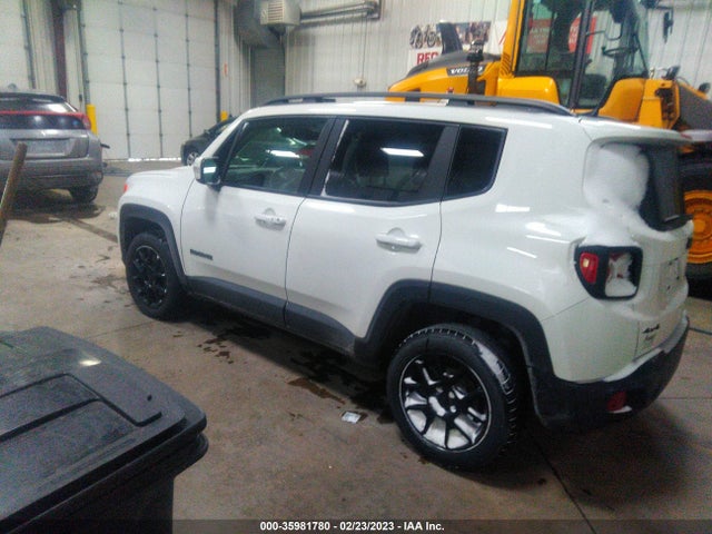 ZACNJBBB3LPK99024 Jeep Renegade Altitude