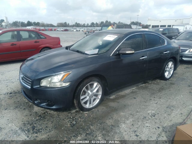 2011 NISSAN MAXIMA 3.5 SV VIN: 1N4AA5AP0BC833167