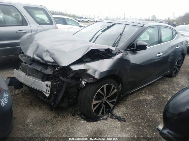 1N4AA6AP1JC391486 Nissan Maxima Platinum
