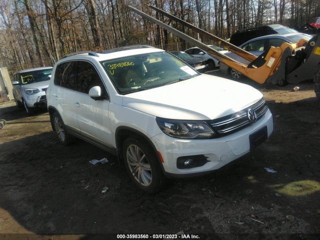 2016 WVGBV7AXXGW561114 main image