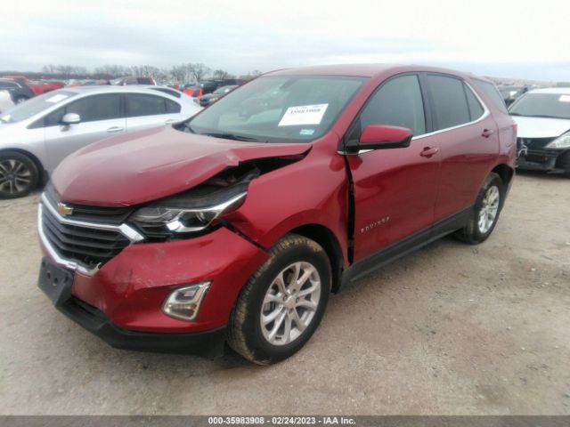 3GNAXJEV0JS505452 Chevrolet Equinox
