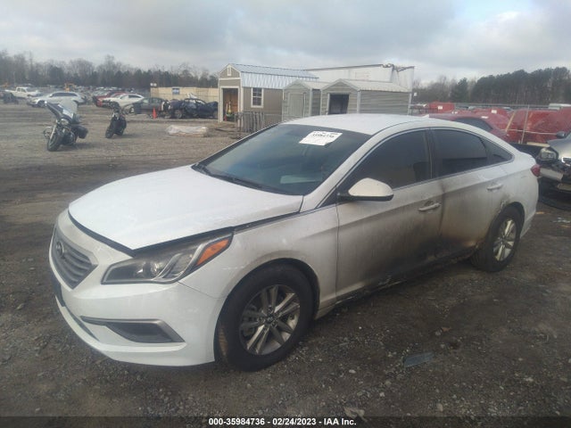 Hyundai Sonata 2.4l 2017 5NPE24AF4HH454342 Image 2