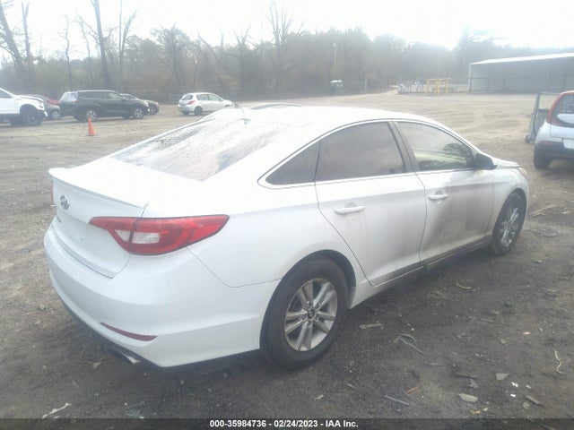 Hyundai Sonata 2.4l 2017 5NPE24AF4HH454342 Image 4