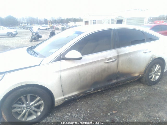 Hyundai Sonata 2.4l 2017 5NPE24AF4HH454342 Image 6