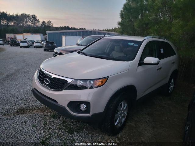 5XYKT3A10BG101481 KIA Sorento