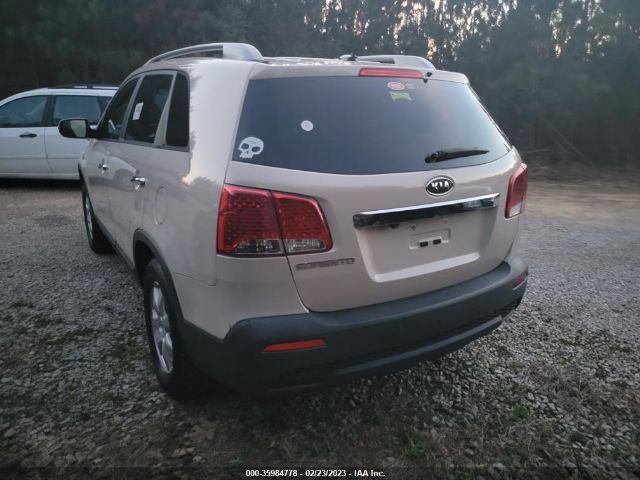 5XYKT3A10BG101481 KIA Sorento