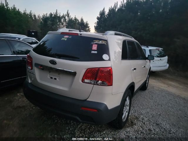 5XYKT3A10BG101481 KIA Sorento