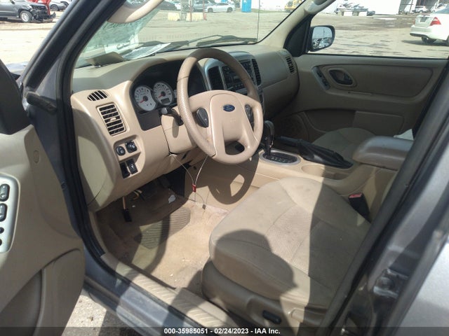 2007 FORD ESCAPE XLT VIN: 1FMCU03Z07KB96219